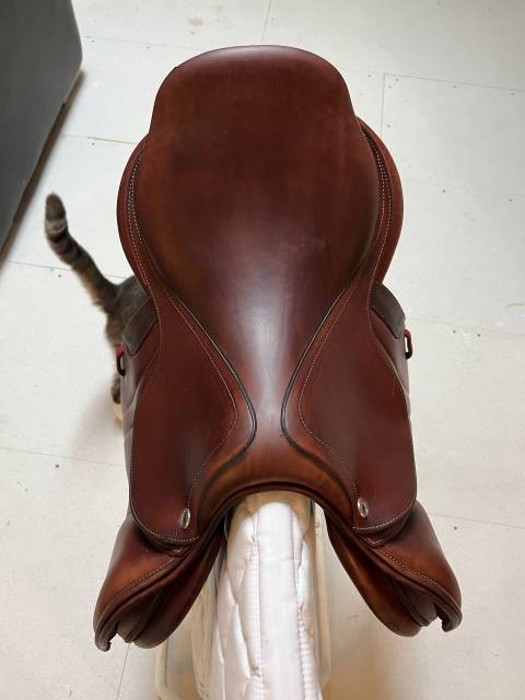 CWD - Selle Optim Close Contact 17''