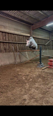 Ponette pfs de 7 ans