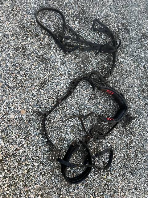 Harnais lot harnachement surfait  Pour Sulky Voiture 