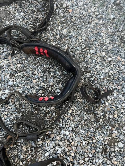 Harnais lot harnachement surfait  Pour Sulky Voiture 