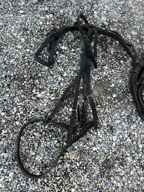 Harnais lot harnachement surfait  Pour Sulky Voiture 