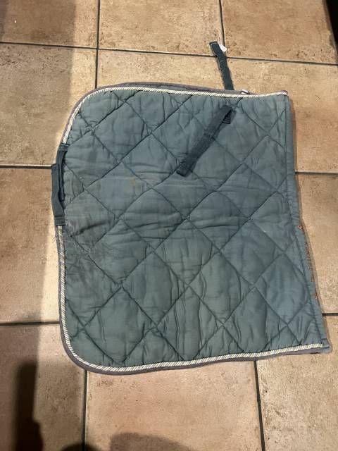 Tapis vert et gris cheval poney équitation  Equi thème 