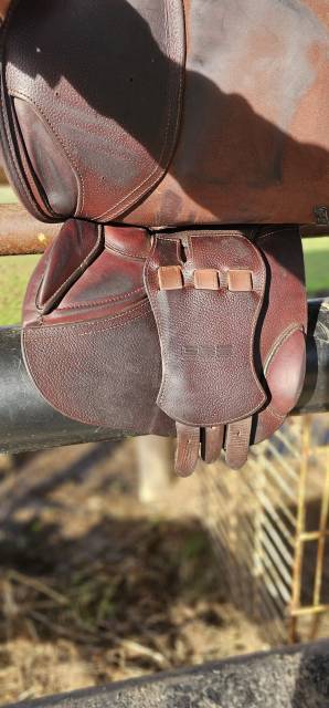 Selle GBS de 2022  Taille 17,5 couleur havane