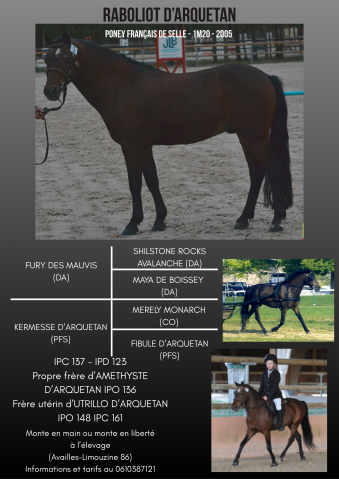 Raboliot d'arquetan : raboliot d'arquetan - approuvé pfs