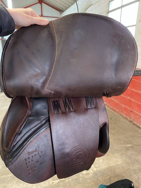 Selle Forestier 16,5  2020