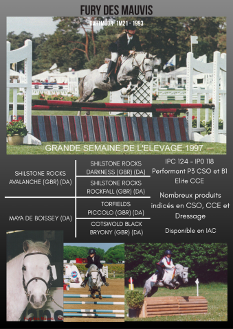 Fury des mauvis : fury des mauvis 