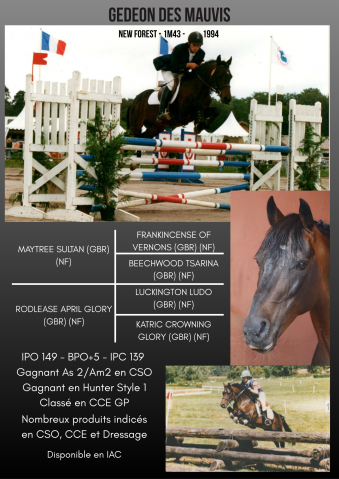 Gedeon des mauvis : gedeon des mauvis