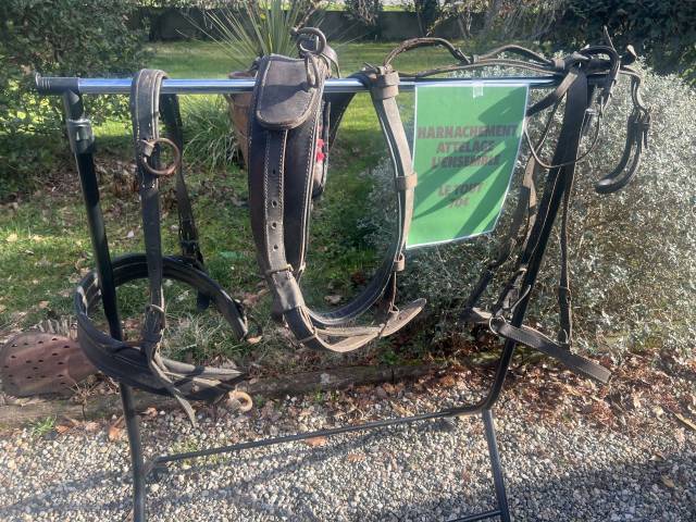 Harnais lot harnachement surfait  Pour Sulky Voiture at