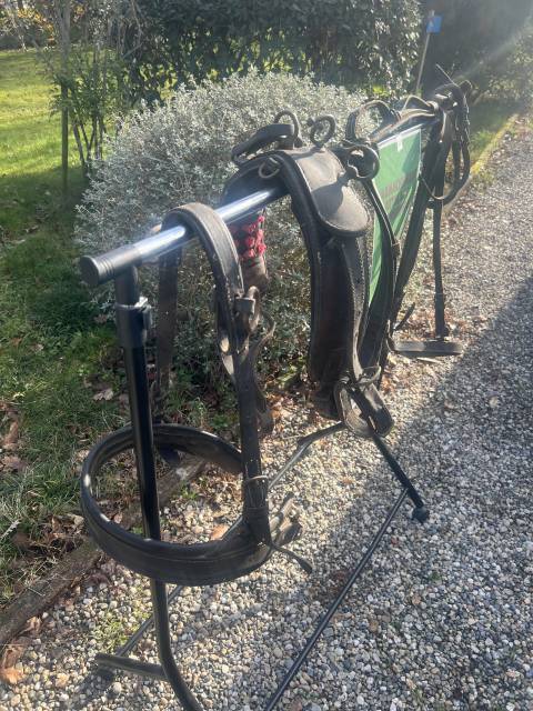 Harnais lot harnachement surfait  Pour Sulky Voiture at
