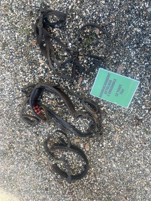 Harnais lot harnachement surfait  Pour Sulky Voiture at