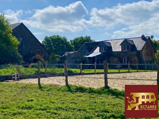 Propriété équestre, 5 hectares, carrière, étang et dépendance de 500 m2