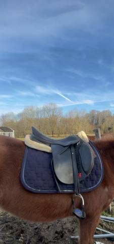 Selle &Eacute;ric Thomas