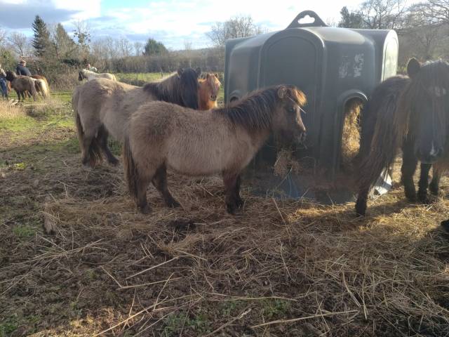 Panoramix d'arquetan
