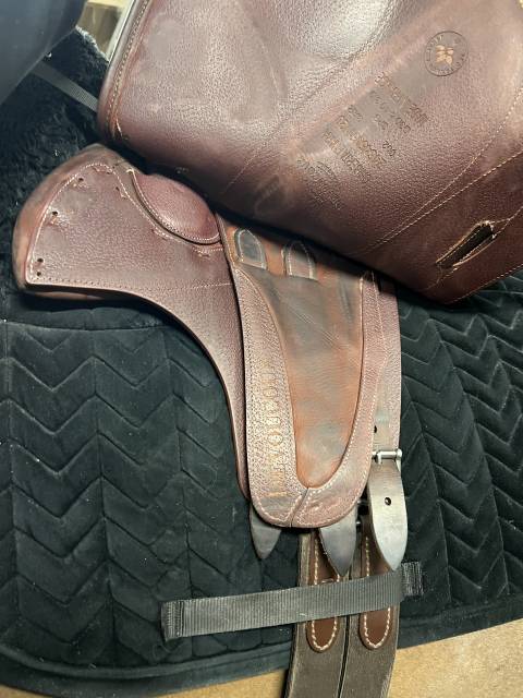 Selle devoucoux Chiberta ENARA D&eacute;cembre 2024