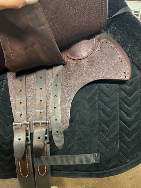 Selle devoucoux Chiberta ENARA D&eacute;cembre 2024