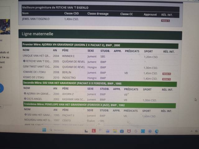 Pouliniere par quidam de revel  de 2005 