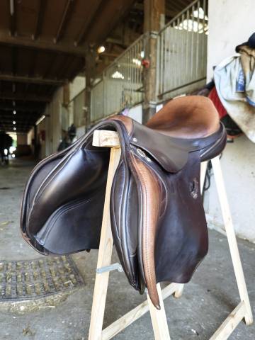 Amplitude sellerie cso