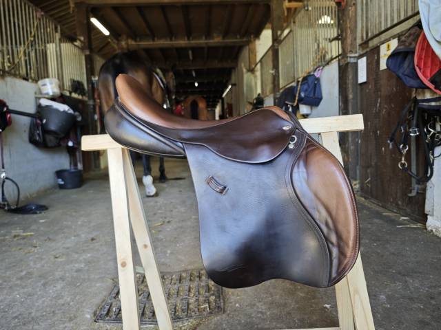 Amplitude sellerie cso