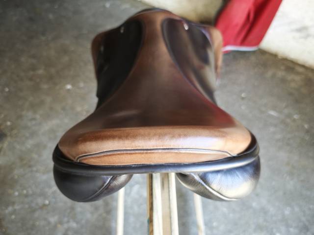 Amplitude sellerie cso