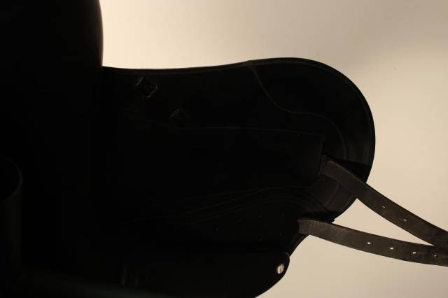 Cwd selle dressage 17