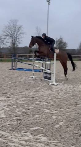 Kap’vert – sf 6ans – cso (cycle libre) potentiel sport 