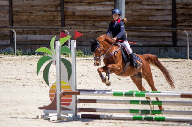 Poney d gagnant p élite (1m)
