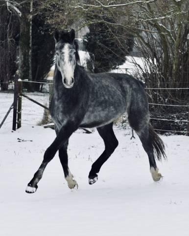 Magnifique jeune 3 ans