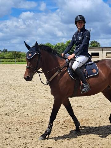 à vendre jument 7 ans