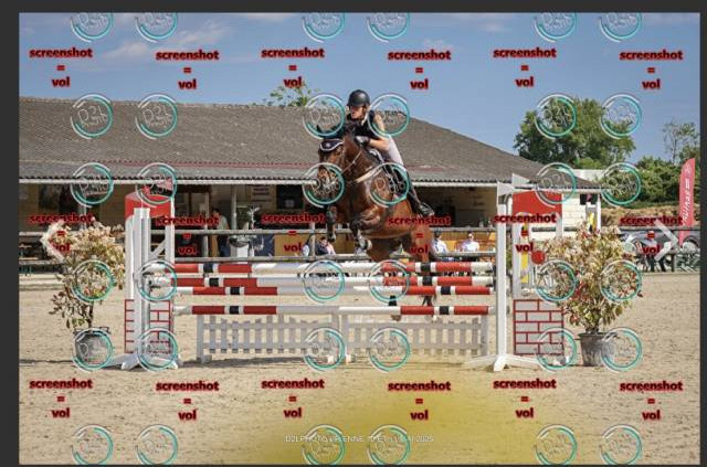 à vendre jument 7 ans