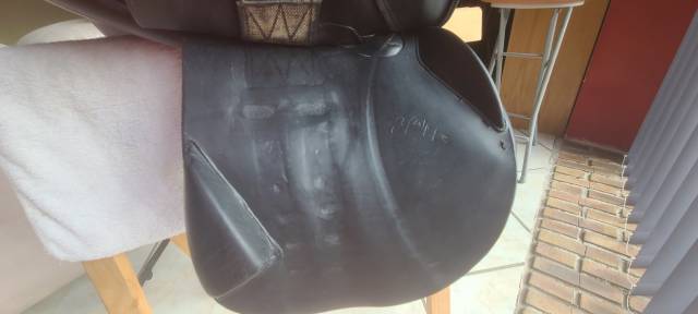 B.Delgrange Ath&eacute;na 17,5" noire + Couvre-selle d'origine