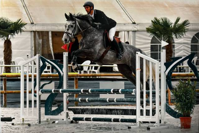 Katia jument 5 ans de c.s.o - finaliste fontainebleau