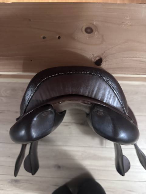 Selle Forestier Club &ndash; Taille 18 &ndash; Havane (2019)