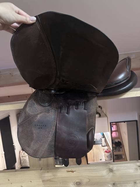 Selle Forestier Club &ndash; Taille 18 &ndash; Havane (2019)