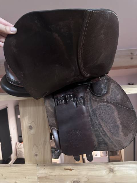 Selle Forestier Club &ndash; Taille 18 &ndash; Havane (2019)