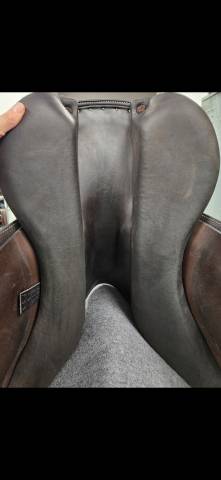 Selle Forestier S&eacute;oul