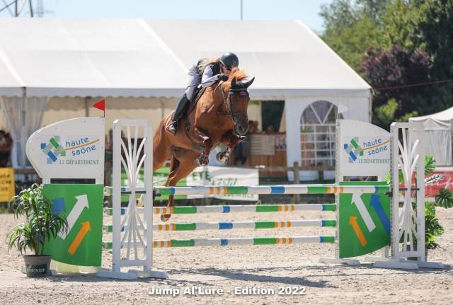 Très jolie jument cso