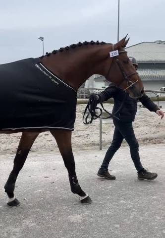 Etalon sf 4 ans par deutcatsix d'eglefin