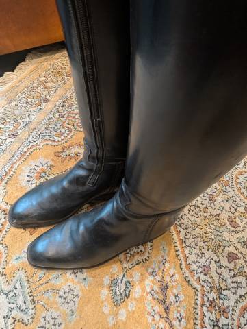 Bottes de dressage Konigs 43