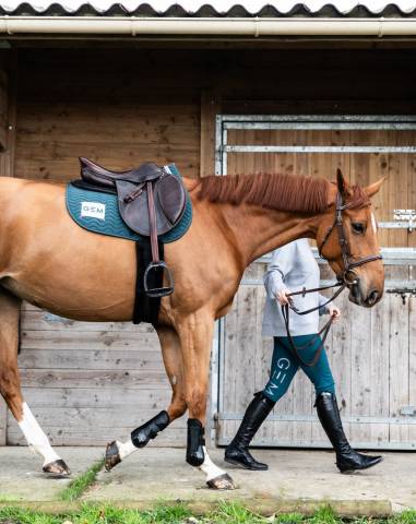 Pantalon GEM Max - GEM - Taille Haute, Confort Thermique