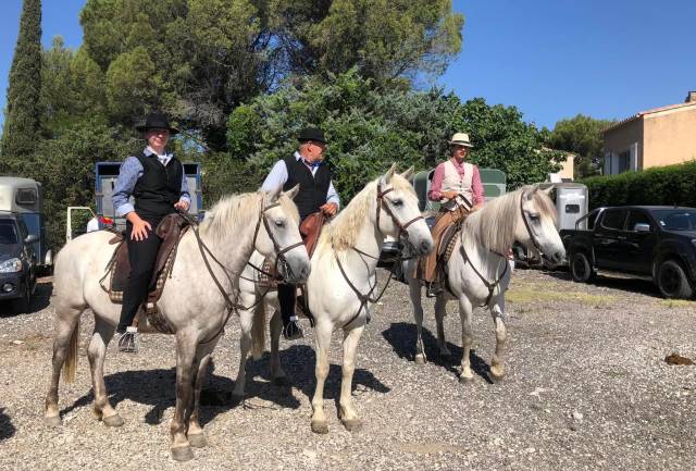 Cheval hongre camargue 150 pour loisir exceptionnel 