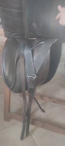 Selle dressage allures