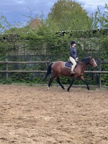 Palefrenier independante seine et marne 77150 