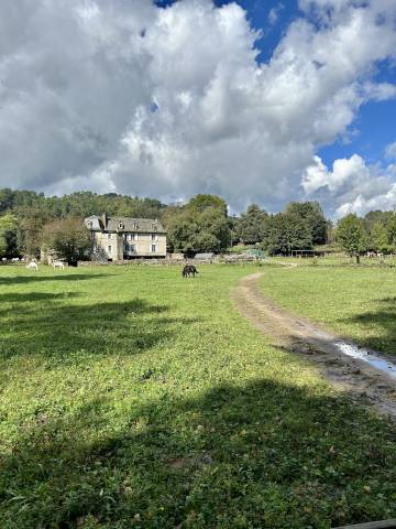 à vendre manoir avec activité équestre