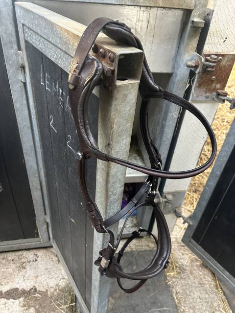 Bridon stubben freedom