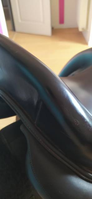 Selle dressage Media