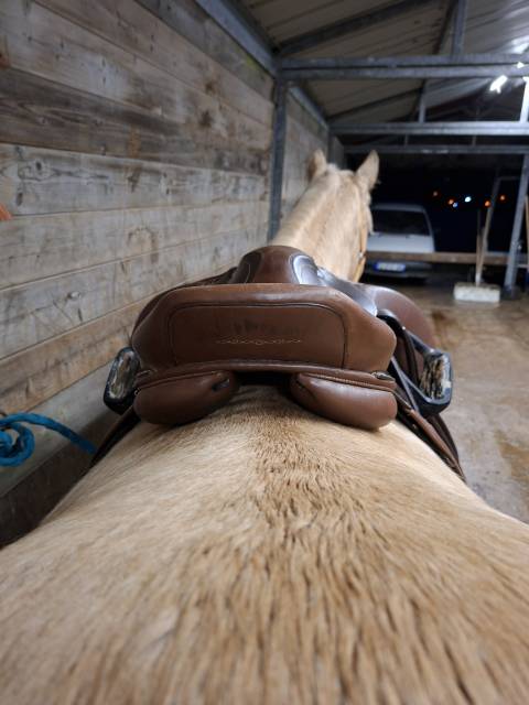 Selle Fouganza Romeo 17,5 