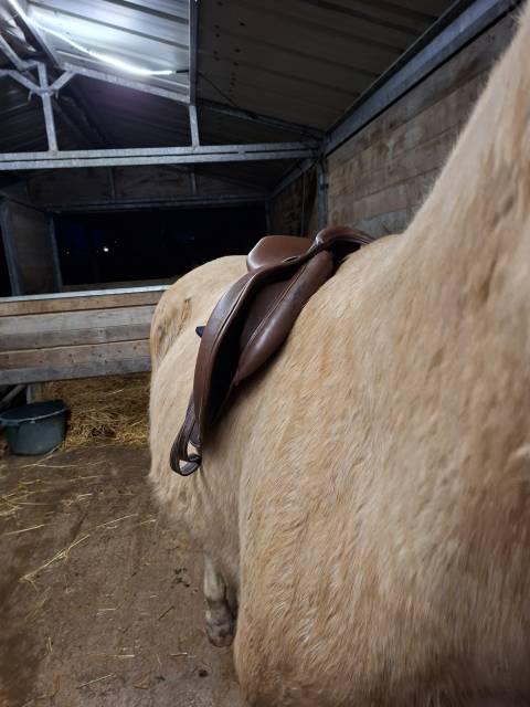 Selle Fouganza Romeo 17,5 