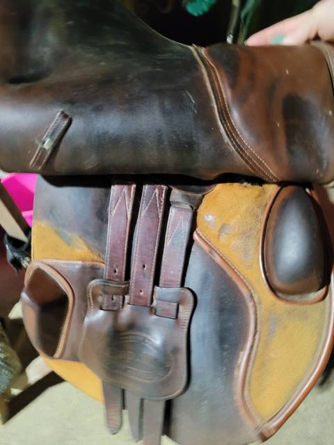 Selle bates caprilli care