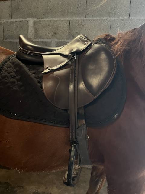 Selle X perience Prestige