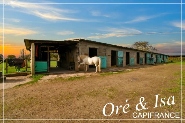 Propriété équestre avec chambre d'hotes